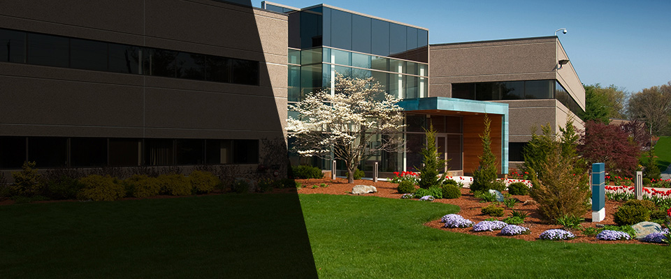 Lexington Landscapers